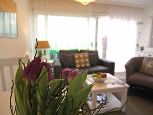 Ferielejlighed - 2 personer -  - Risgap - 25996 - Sylt / Ot Wenningstedt - Braderup