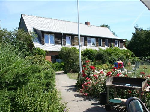 Holiday Home/Apartment - 2 persons -  - Ellerdorfer Weg - 24802 - Groß Vollstedt