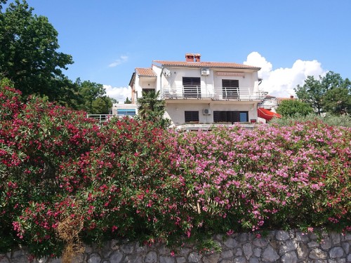 Holiday apartment - 2 persons -  - Željka Cepulica - 51221 - Paveki