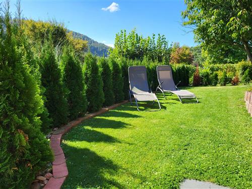 Ferielejlighed - 4 personer -  - Bodenwerder - 37619