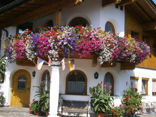 Holiday apartment - 4 persons -  - Ramseiden - 5760 - Saalfelden Am Steinernen