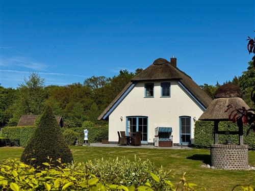 Sommerhus - 5 personer -  - Wiesenstrasse - 17459 - Loddin / Stubbenfelde