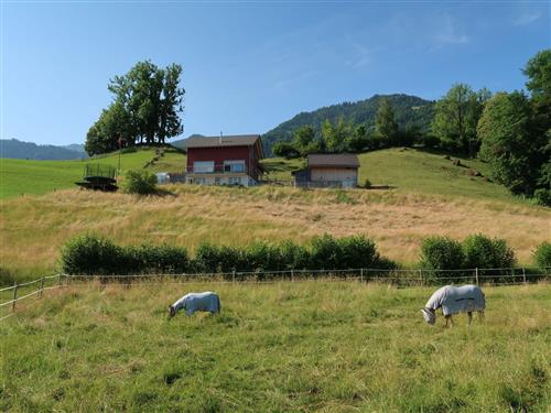 Holiday apartment - 2 persons -  - Reichenburg - 8864
