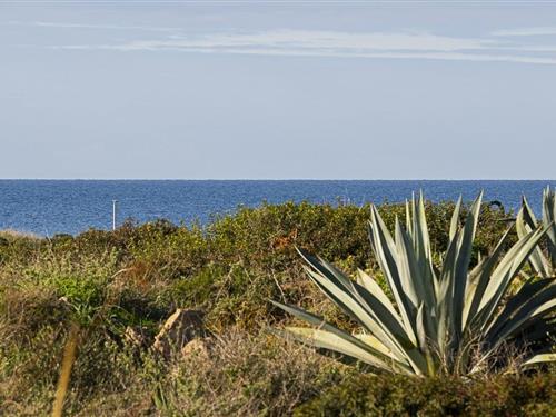 Ferienhaus - 4 Personen -  - Avinguda Primavera - 07638 - Colonia Sant Jorid