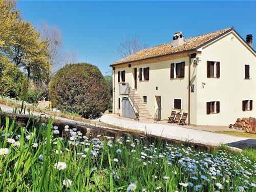 Hytte - 8 personer -  - 60024 - Filottrano