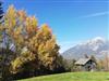 Bild 51