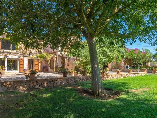 Villa - 10 persons -  - 07210 - Algaida, Illes Balears