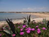 Bild 39 - Aussen