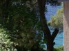 Bilde 27
