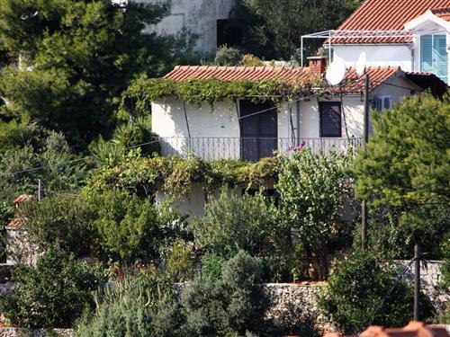 Ferielejlighed - 5 personer -  - Domovinskog rata 39, Maslinica - 21430 - Grohote