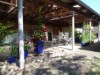 Bild 41