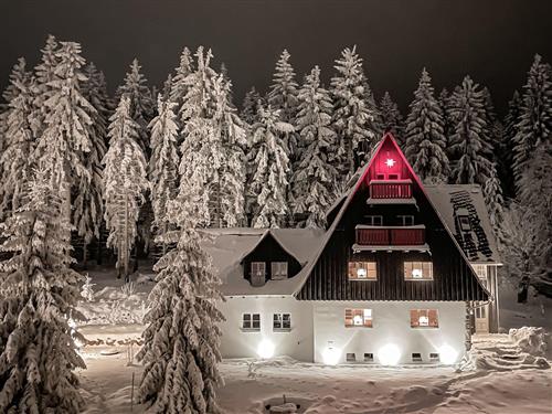 Ferielejlighed - 4 personer -  - Ahornallee - 01773 - Altenberg