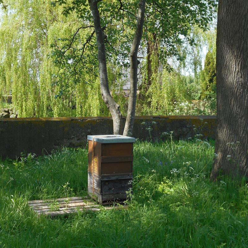 Ferielejlighed - 5 personer -  - Bisdorfer Ring - 23769 - Fehmarn Ot Bisdorf