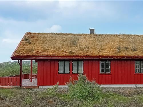 Holiday home - 10 persons -  - Ørnefjellvegen - Ljosland/Åseral - 4540 - Åseral