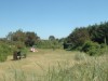 Billede 16