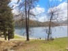 Image 50