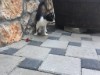 Billede 9