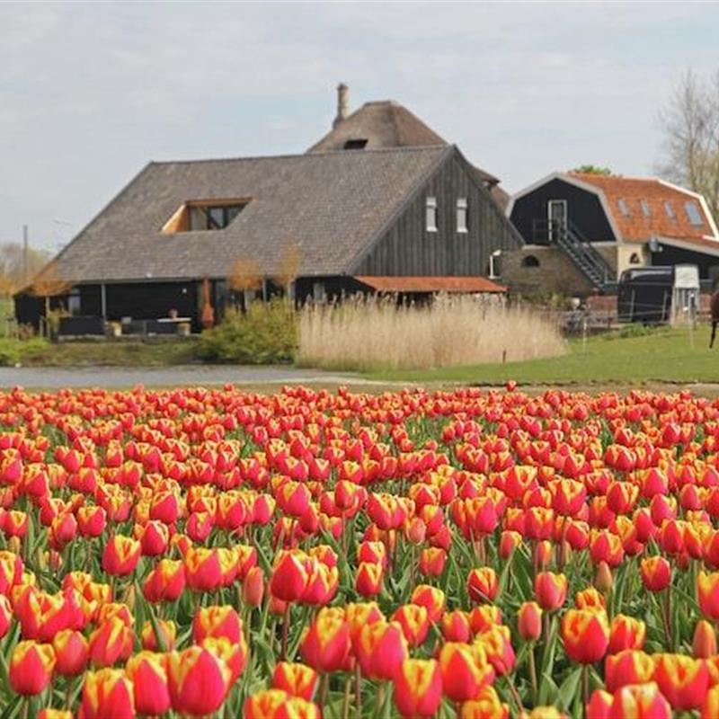 Ferielejlighed - 4 personer -  - 1744HE - Sint Maarten