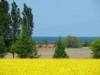 Billede 13 - Ude