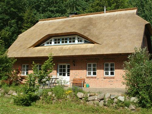 Holiday Home/Apartment - 5 persons -  - Kollhof - 18581 - Putbus / Lauterbach