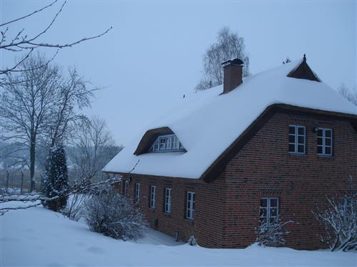 Holiday apartment - 5 persons -  - Kollhof - 18581 - Putbus / Lauterbach