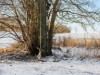Bild 17