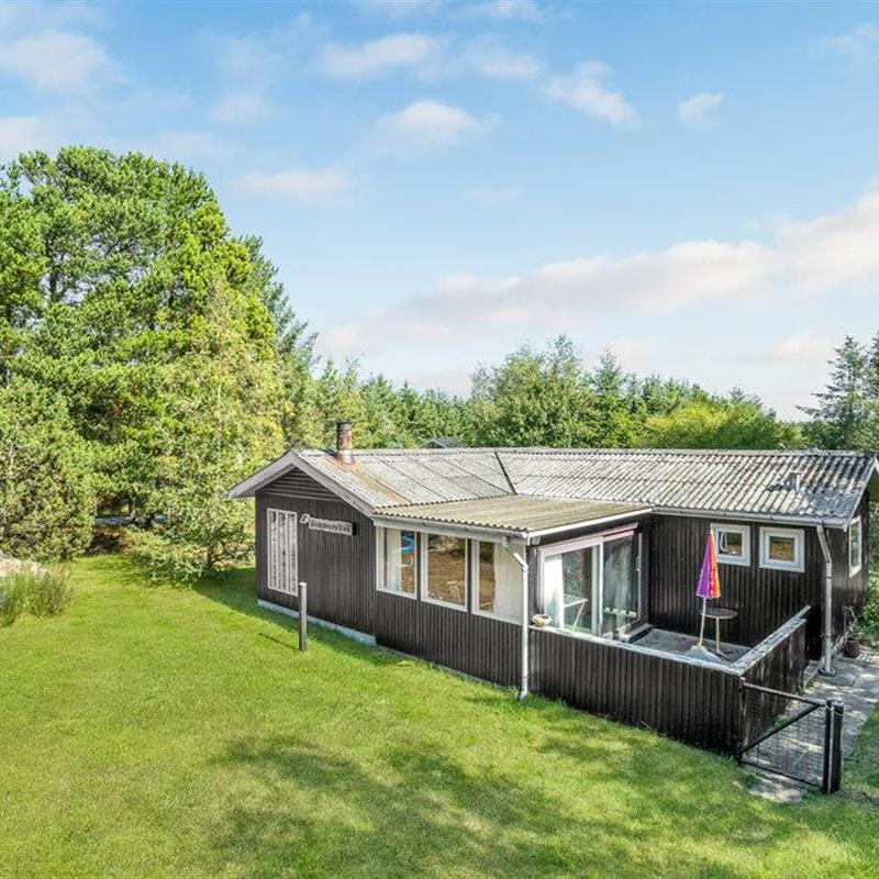 Ferienhaus - 6 Personen -  - Kornblomstvej - 9492 - Blokhus
