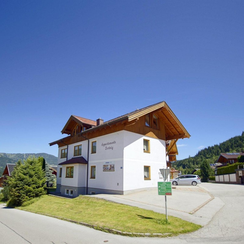 Ferielejlighed - 5 personer -  - Wechslergasse - 5542 - Flachau