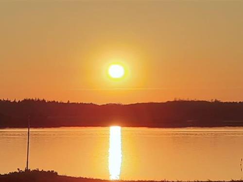 Fritidshus - 2 personer -  - 24404 - Maasholm