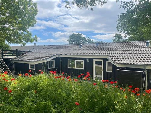 Sommerhus - 6 personer -  - Blushøjvej 2 C - 8400 - Ebeltoft