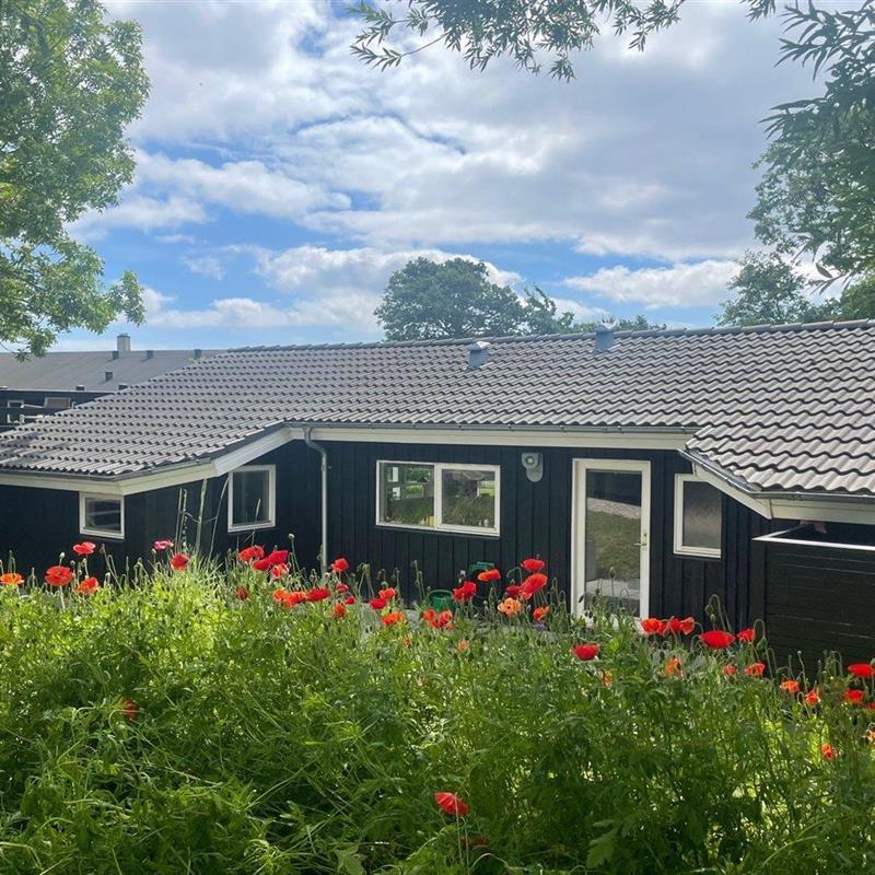 Sommerhus - 6 personer -  - Blushøjvej 2 C - 8400 - Ebeltoft