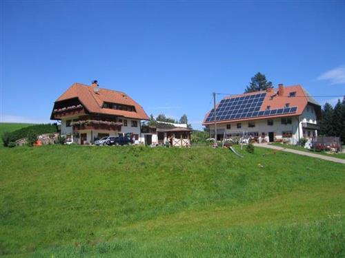 Holiday Home/Apartment - 4 persons -  - Steinbachtal - 79274 - St. Märgen