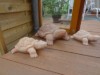 Bild 19