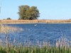 Bild 17