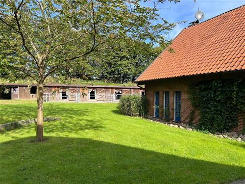 Sommerhus - 7 personer -  - Osterbyholz - 24367 - Osterbyholz