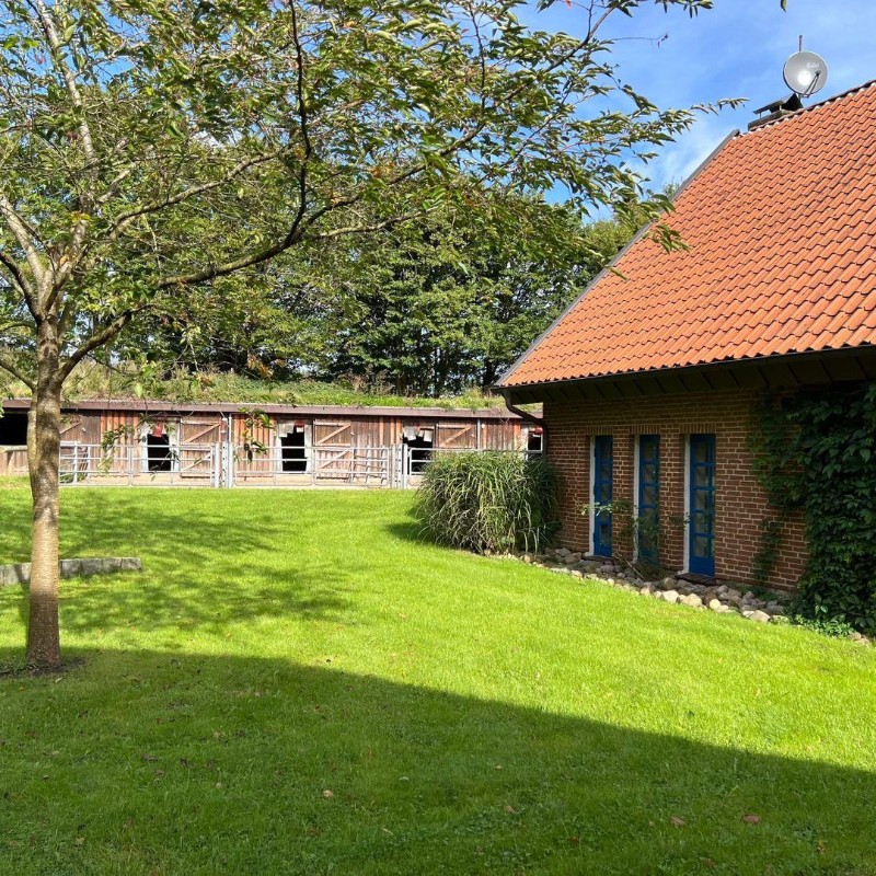 Sommerhus - 7 personer -  - Osterbyholz - 24367 - Osterbyholz
