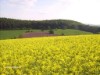 Bild 36 - Ude