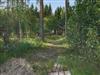 Image 4 - Outside