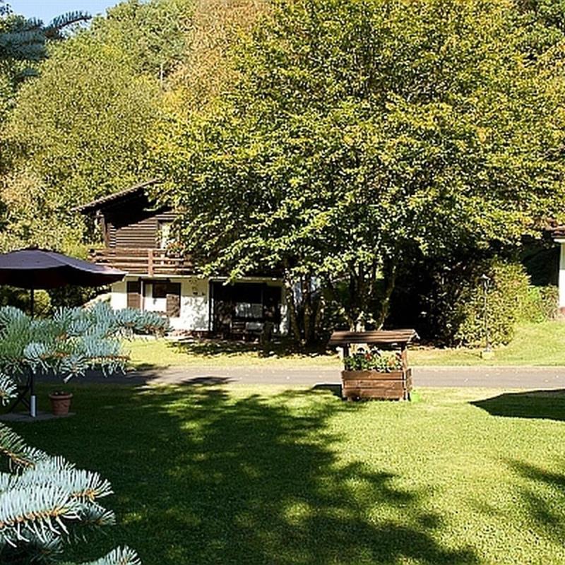 Chalet - 6 personer -  - 54614 - Schönecken