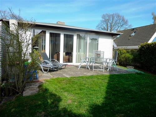 Bungalow - 4 persons -  - Lenster Weg - 23743 - Lensterstrand