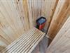 Image 7 - Sauna