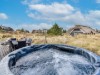 Billede 4