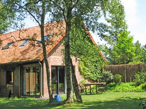 Ferienhaus - 6 Personen -  - 76550 - Ambrumesnil