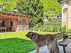 Image 36 - Outside