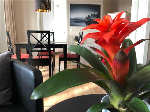 Ferielejlighed - 4 personer -  - Ostseebad Sellin - 18586