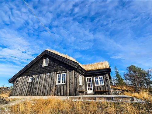 Fritidshus - 10 personer -  - Ringhovdvegen - Ål I Hallingdal - 3579 - Torpo
