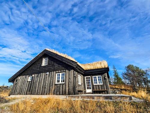 Holiday home - 10 persons -  - Ringhovdvegen - Ål I Hallingdal - 3579 - Torpo
