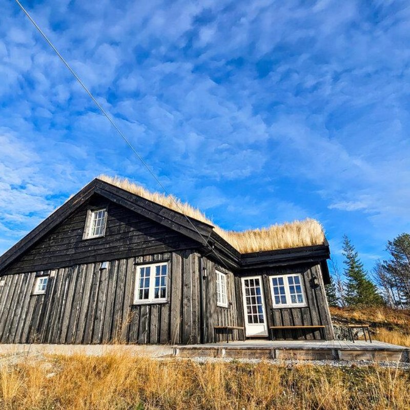 Sommerhus - 10 personer -  - Ringhovdvegen - Ål I Hallingdal - 3579 - Torpo