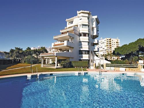 Holiday apartment - 6 persons -  - E - Mijas Costa - 29649 - Calahonda