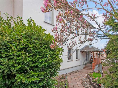 Holiday apartment - 4 persons -  - Kaiserstraße - 17419 - Ahlbeck (Seebad)